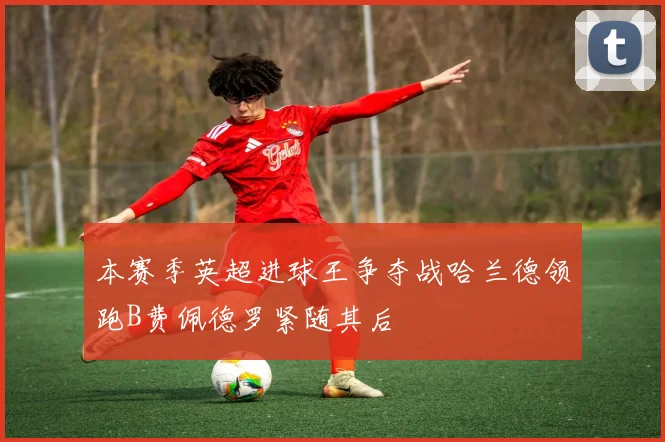 本赛季英超进球王争夺战哈兰德领跑B费佩德罗紧随其后
